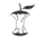 CORE