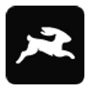 Directus